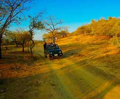 Gujarat Vacation Package